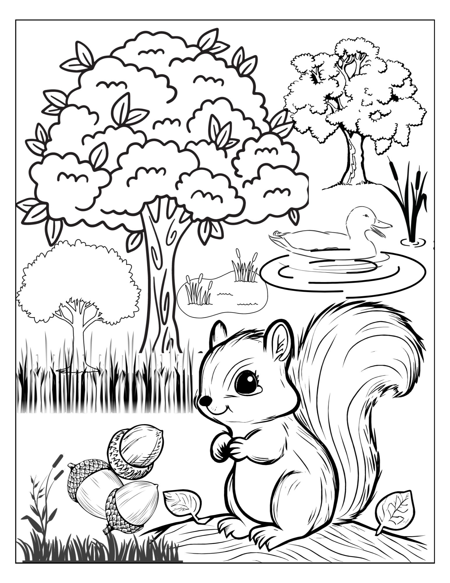 Baby Squirrel Coloring Page