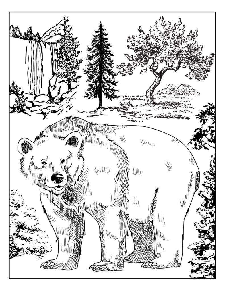 Bear Coloring Page