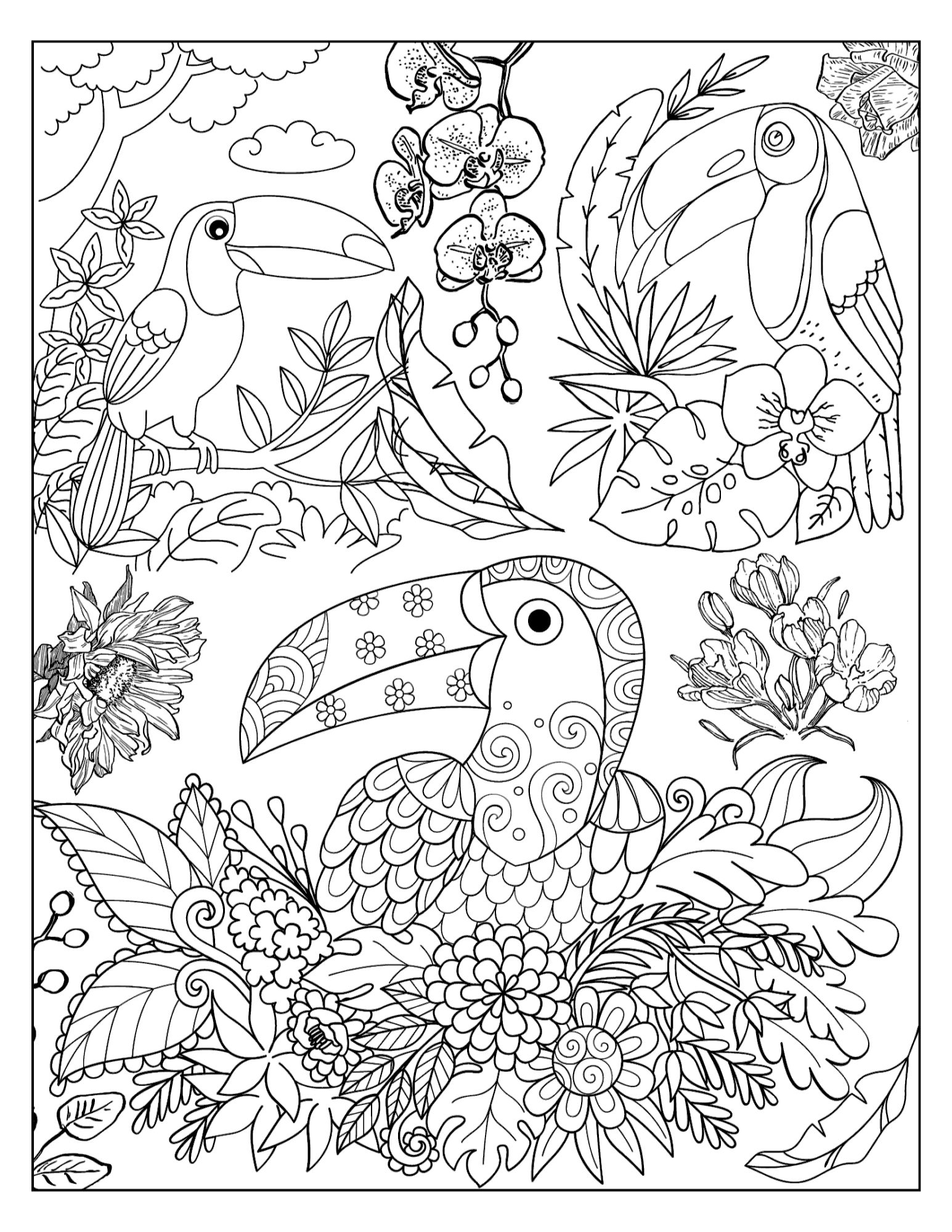 Toucans Coloring Page