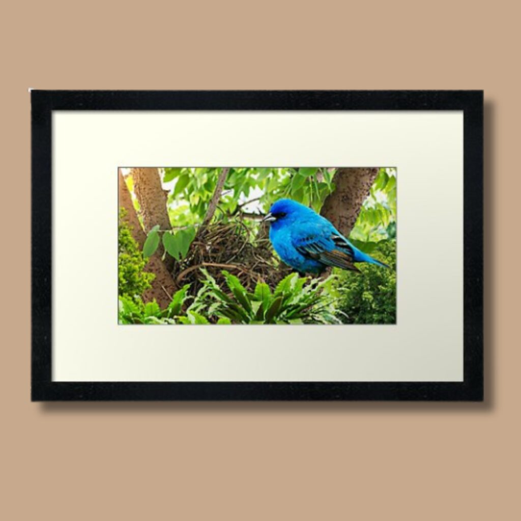 Building The Nest Framed Wall Art