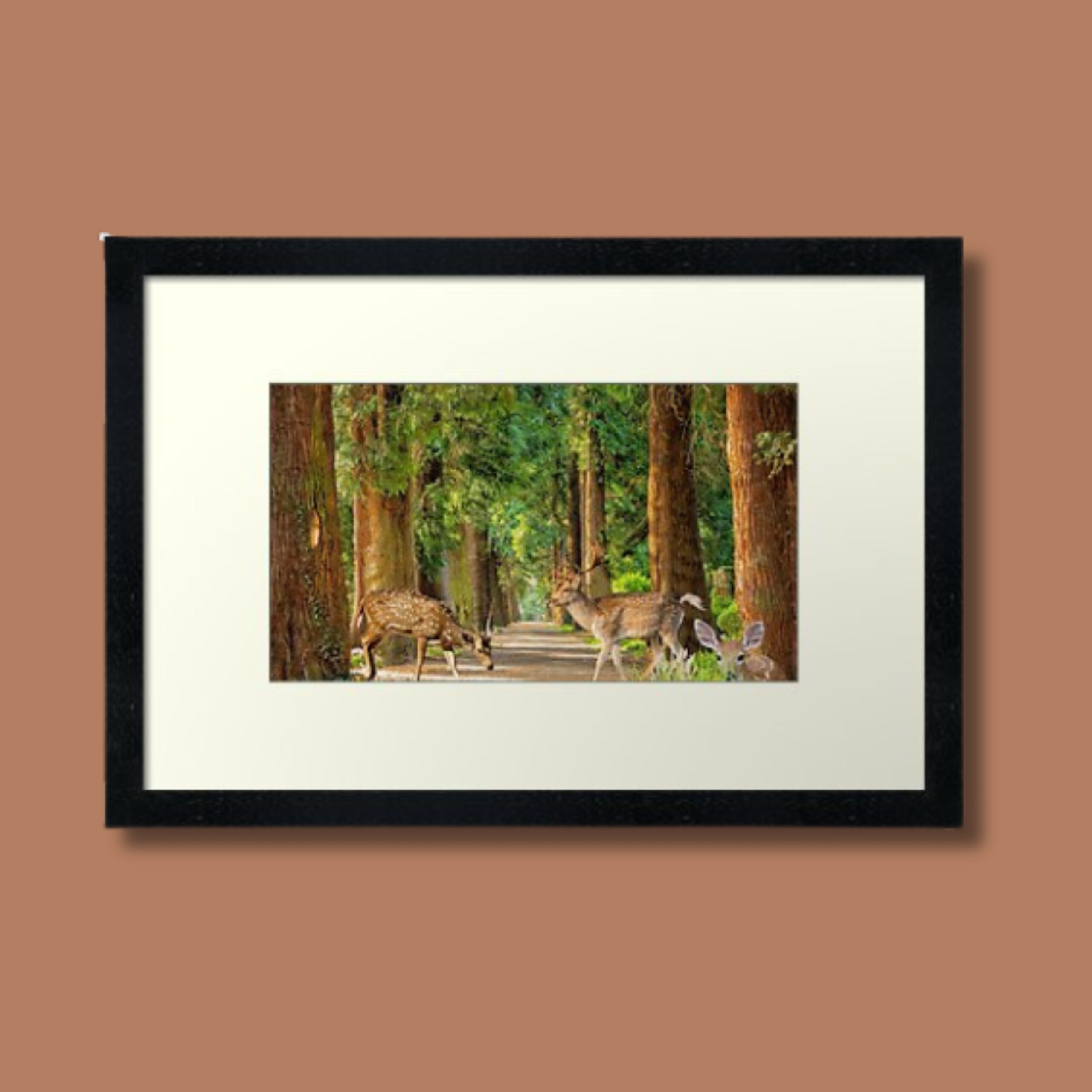 Deer Path Framed Wall Art