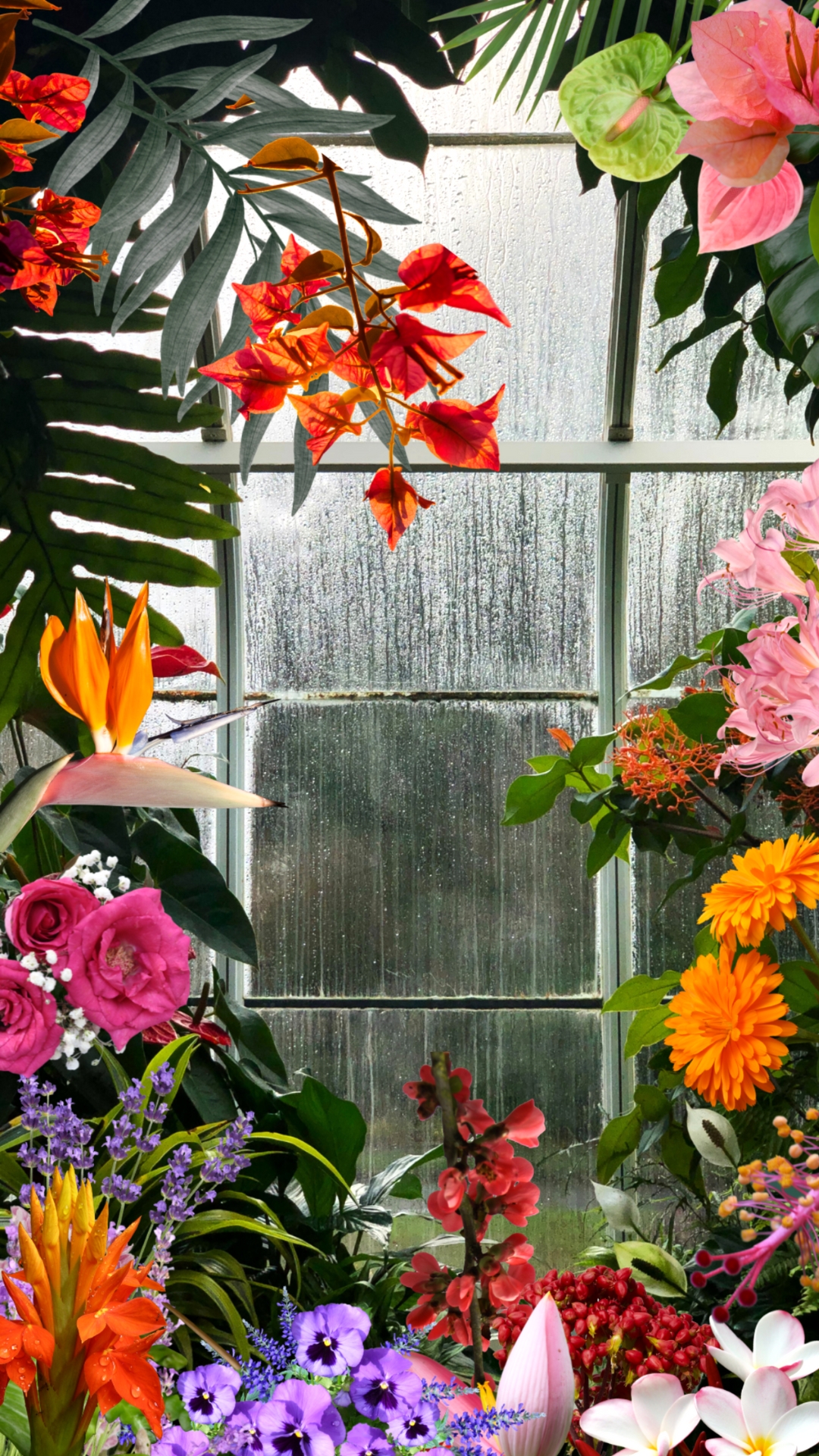 Inside The Greenhouse Wall Art