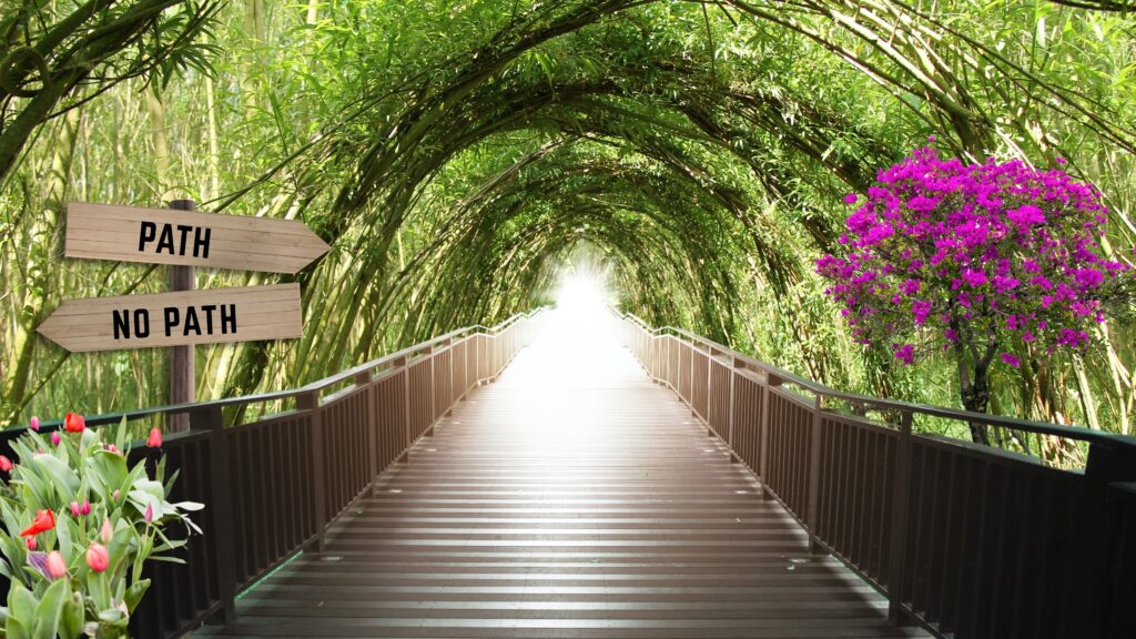 Pathway To The Unknown Wall Art 300 dpi